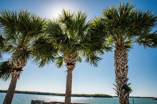 Punta Gorda/Englewood Beach: Where the Season Feels Like Spring - by Punta Gorda/Englewood Beach Visitor & Convention Bureau